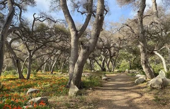 Ennisbrook Open Space: Chumash Trails Day 2026